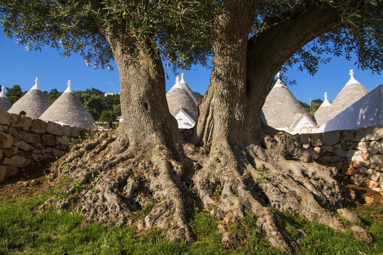 Borgo Canonica Hotel Cisternino Exterior photo